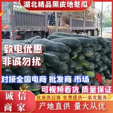 【热销中】精品黑皮地冬瓜基地直供量大从优价格实惠