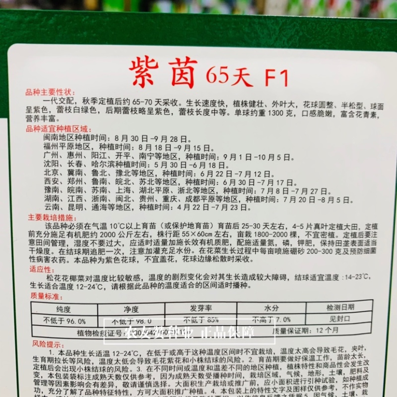 富含花青素半松型紫色花椰菜种子