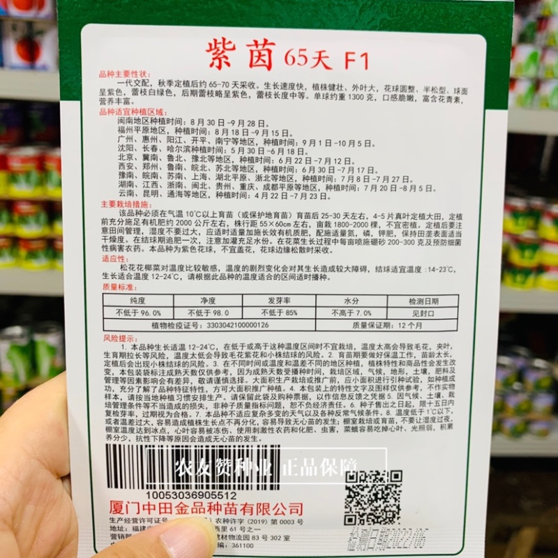富含花青素半松型紫色花椰菜种子