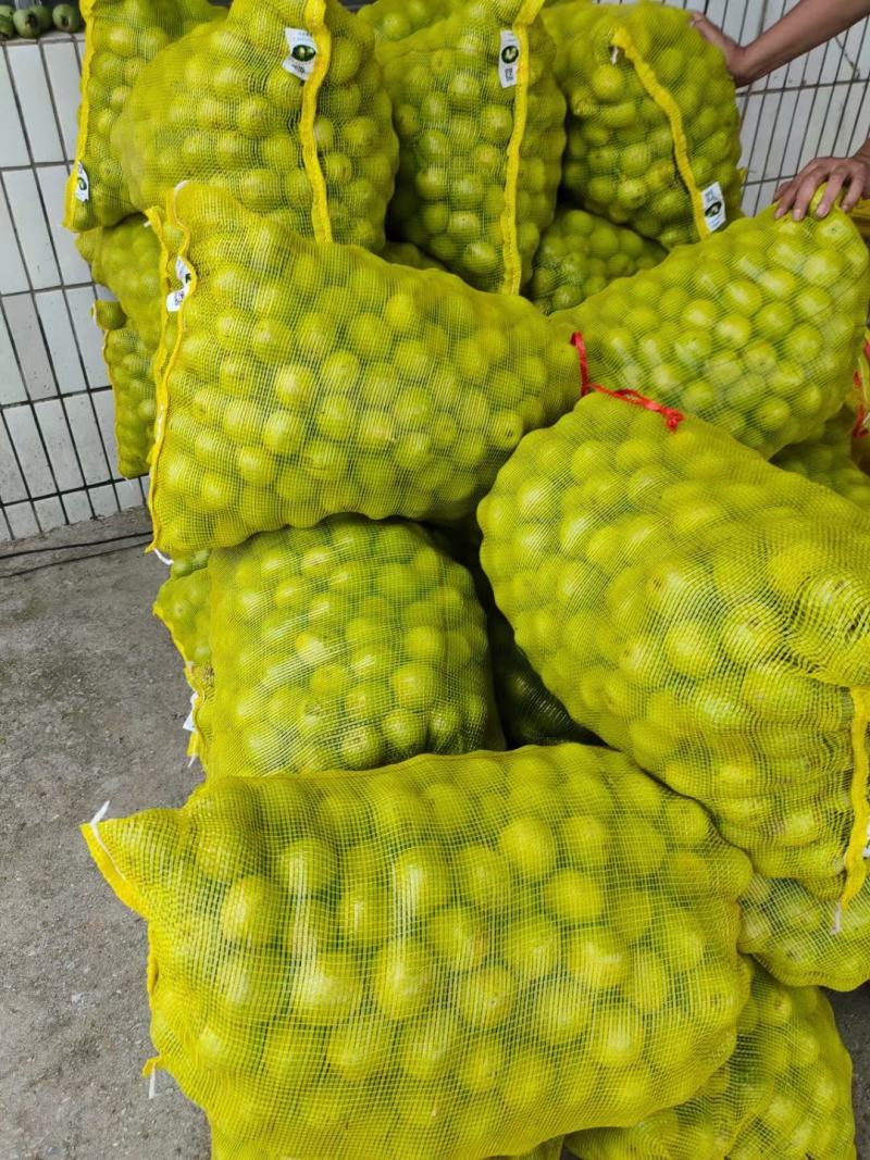 青皮核桃