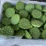 莲蓬（太空莲）