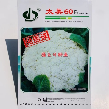 不盖也白盖了更白松花菜种子太美60青梗松花菜种子小米粒