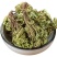 卷柏中药材草药还魂草新货小卷柏还魂草长