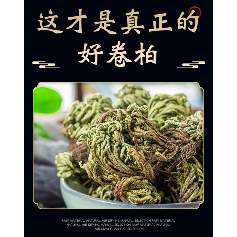 卷柏中药材草药还魂草新货小卷柏还魂草长