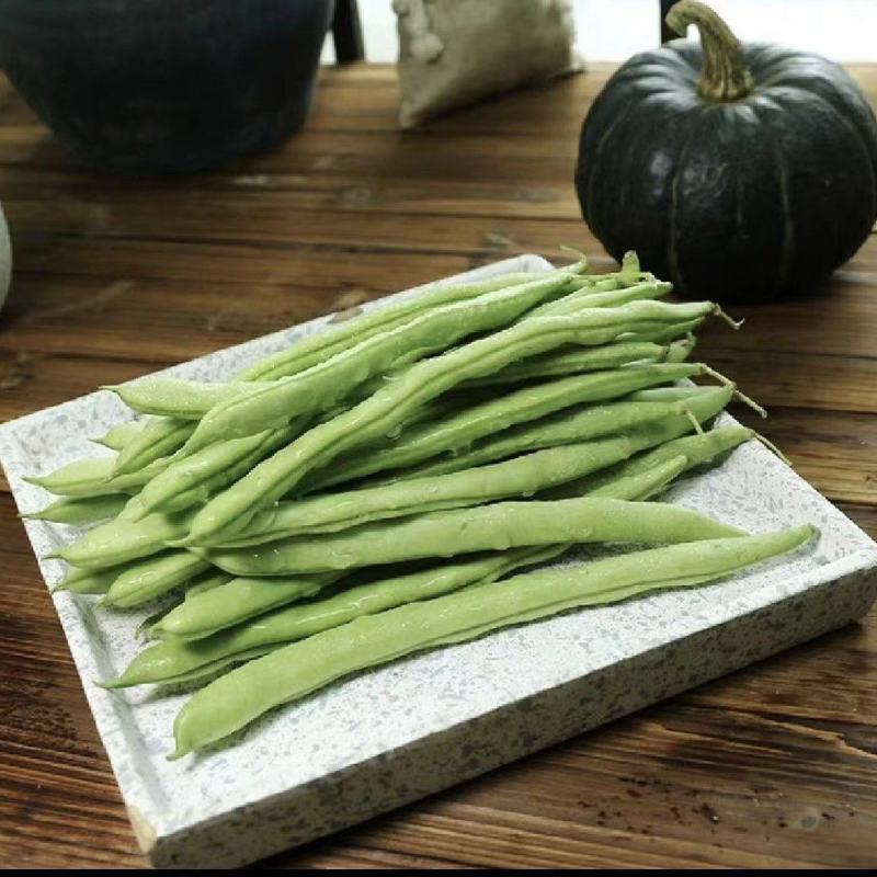 四季豆豆角无筋豆湖北四季豆产地直供保质保量