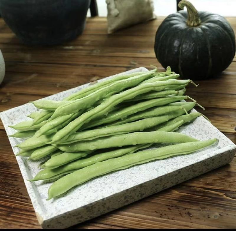 四季豆豆角无筋豆湖北四季豆产地直供保质保量