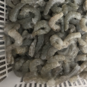 虾仁加工批发商