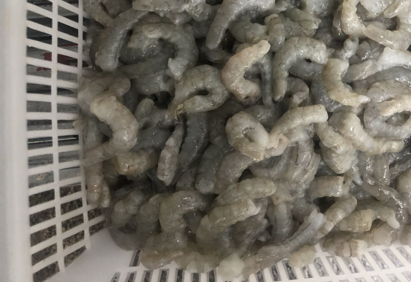 虾仁加工批发商