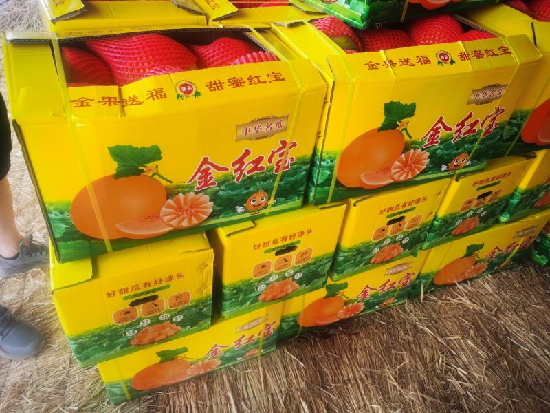 民勤沙漠蜜瓜金红宝糖度高口感高头茬瓜走货快