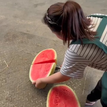 石头瓜西瓜🍉，皮薄汁多，品质保证，欢迎咨询订购