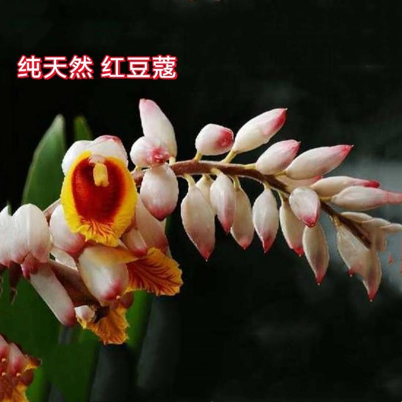 红蔻红豆蔻红扣红寇5红豆寇良姜子红寇米川菜调料卤料