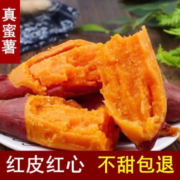 江苏宿迁沙地西瓜红蜜薯，精品红薯合作社原产地直发