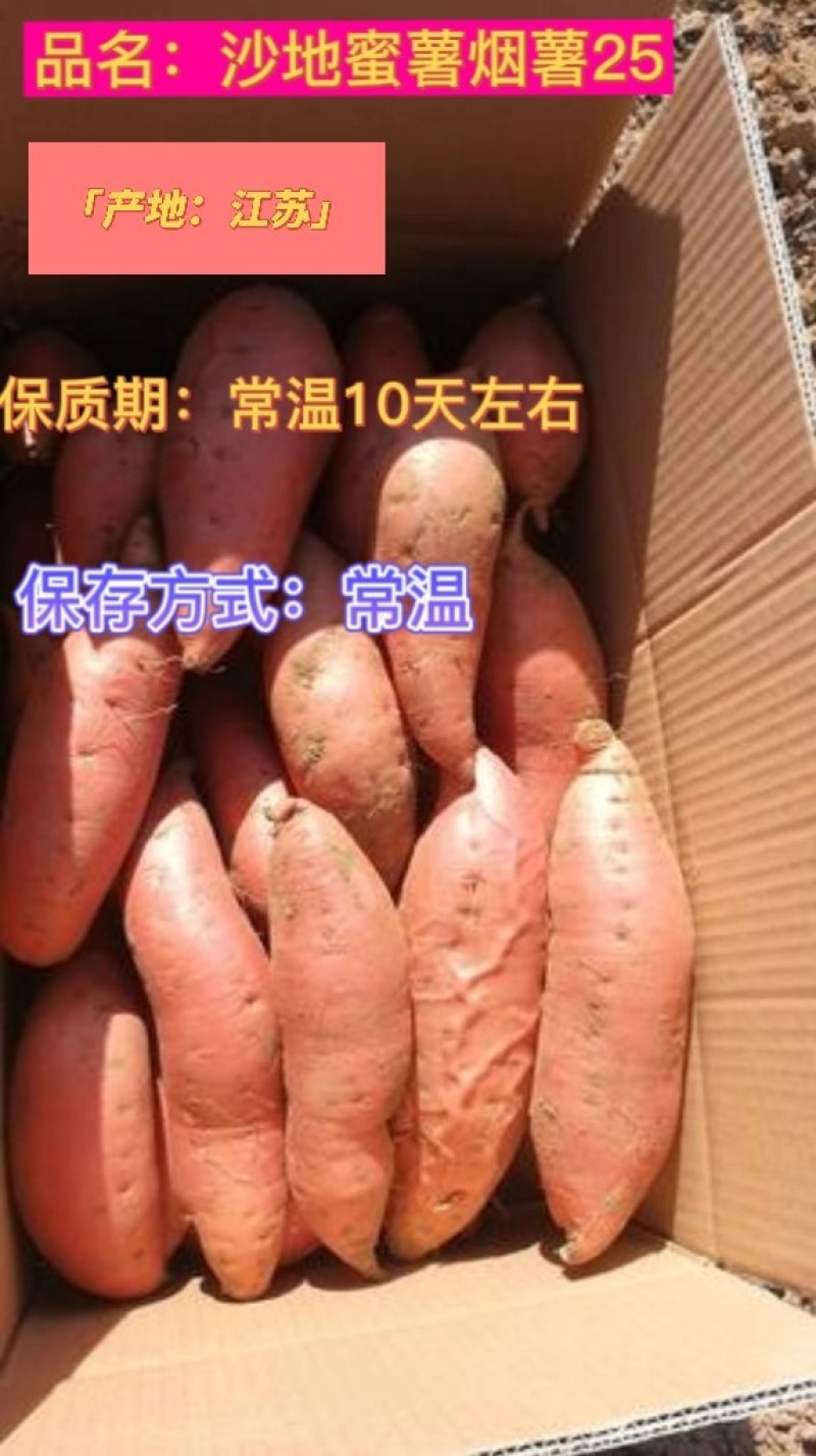 江苏宿迁沙地西瓜红蜜薯，精品红薯合作社原产地直发