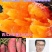 江苏宿迁沙地西瓜红蜜薯，精品红薯合作社原产地直发