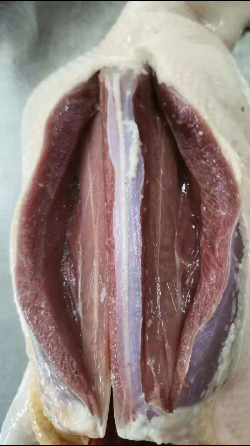 精制无骨鸭胸肉腩脯肉腊鸭胸肌肉广东阳江鸭胸脯肉