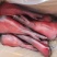 腊猪蹄，烟熏腊猪蹄，四川特产，农家风味欢迎咨询下单
