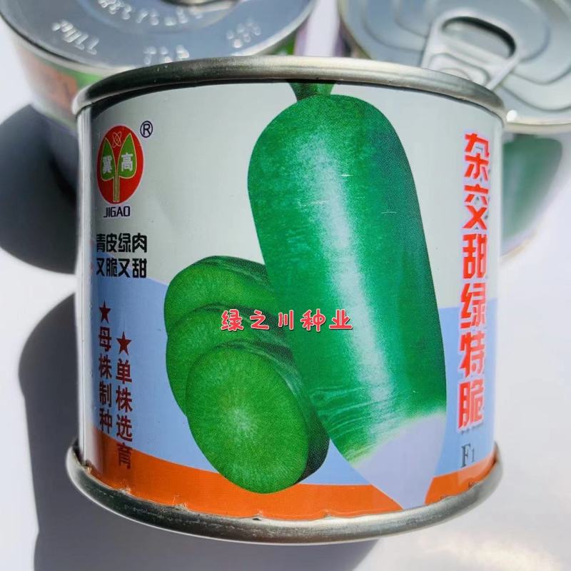 青皮绿肉又脆又甜水果萝卜种子杂交甜绿特脆青萝卜种子