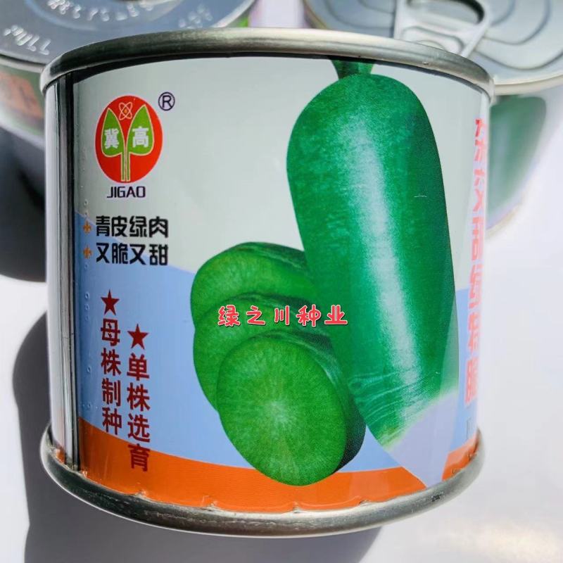 青皮绿肉又脆又甜水果萝卜种子杂交甜绿特脆青萝卜种子