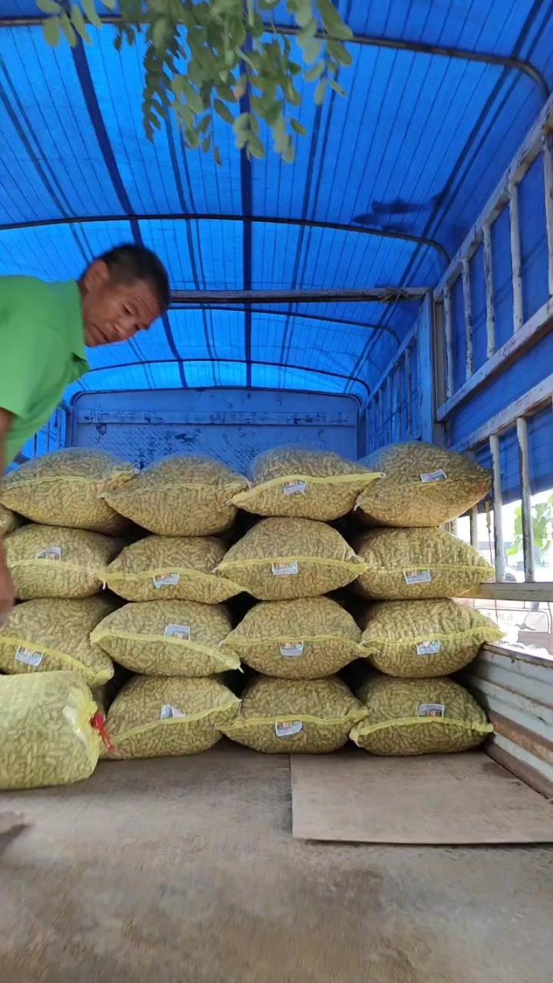 精品四粒红鲜花生过筛子手选果，保质保量发货，电商市场档口
