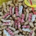 河南鲜花生，精品四粒红花生籽粒饱满保质保量商超市场量大