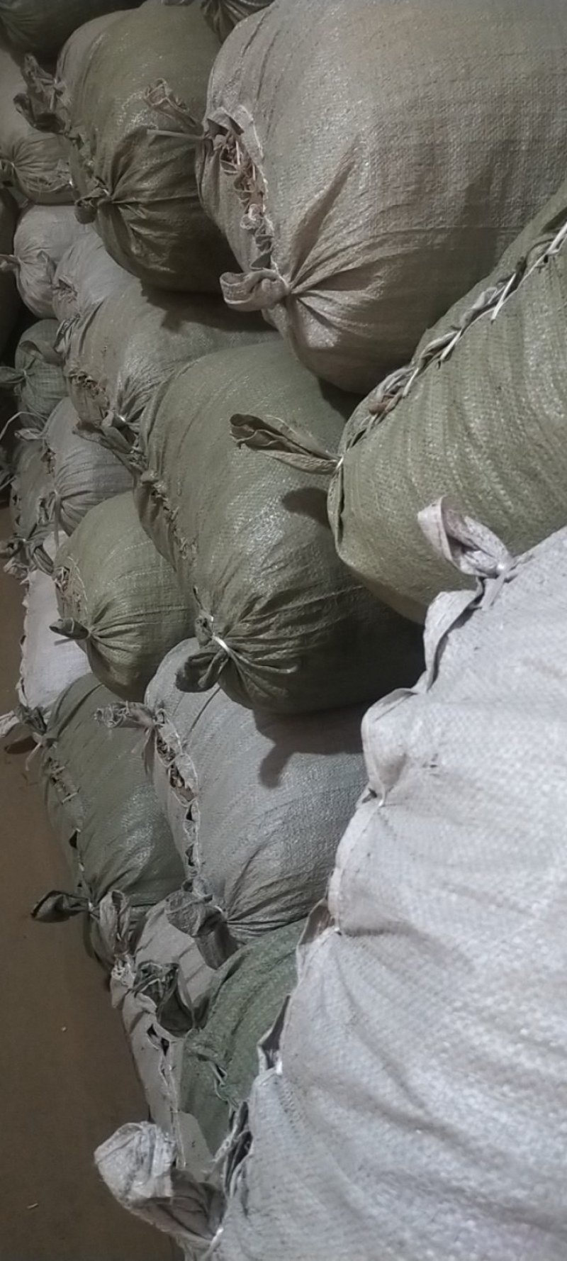 精选地骨皮