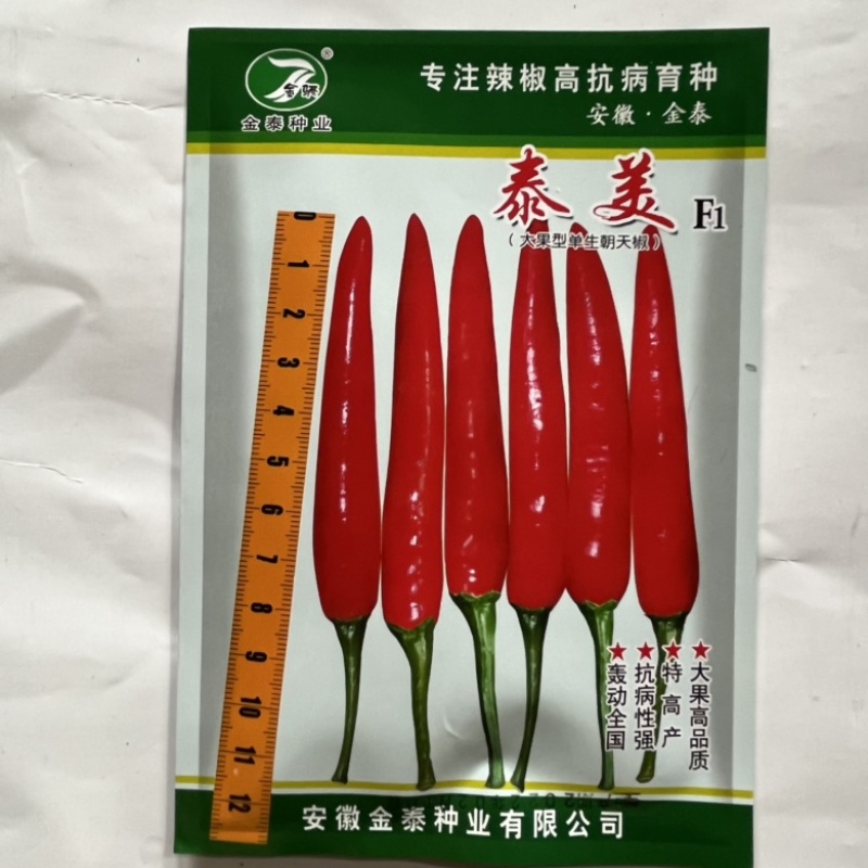 金娇帝王小米椒种子品种杂交一代大田用种种子