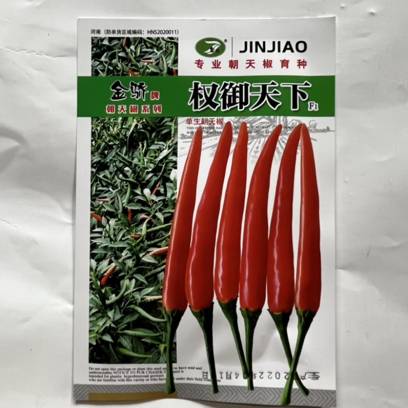 金娇帝王小米椒种子品种杂交一代大田用种种子
