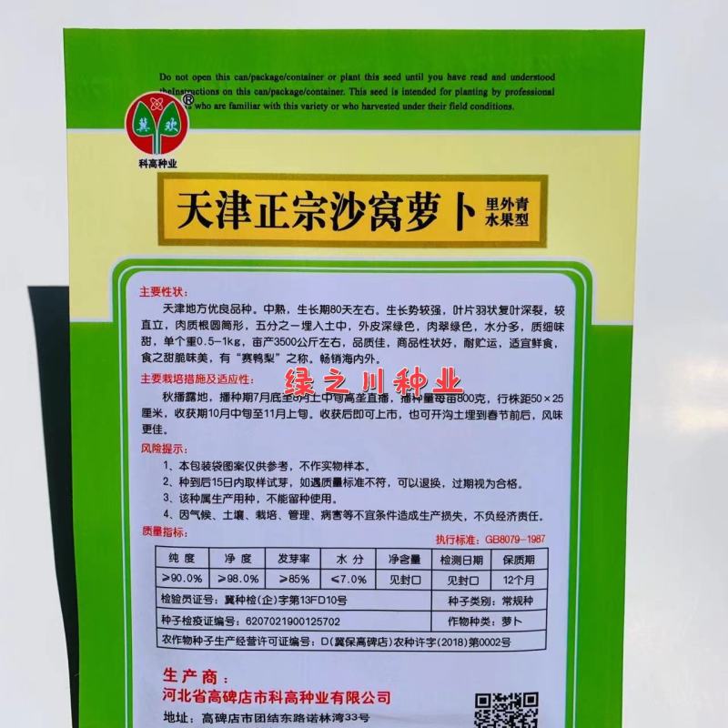 沙窝萝卜种子质细味甜天津正宗沙窝萝卜里外青水果型萝卜种子