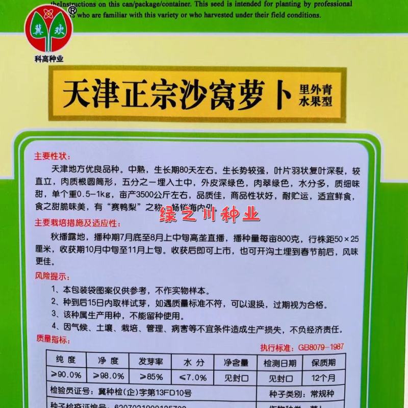沙窝萝卜种子质细味甜天津正宗沙窝萝卜里外青水果型萝卜种子