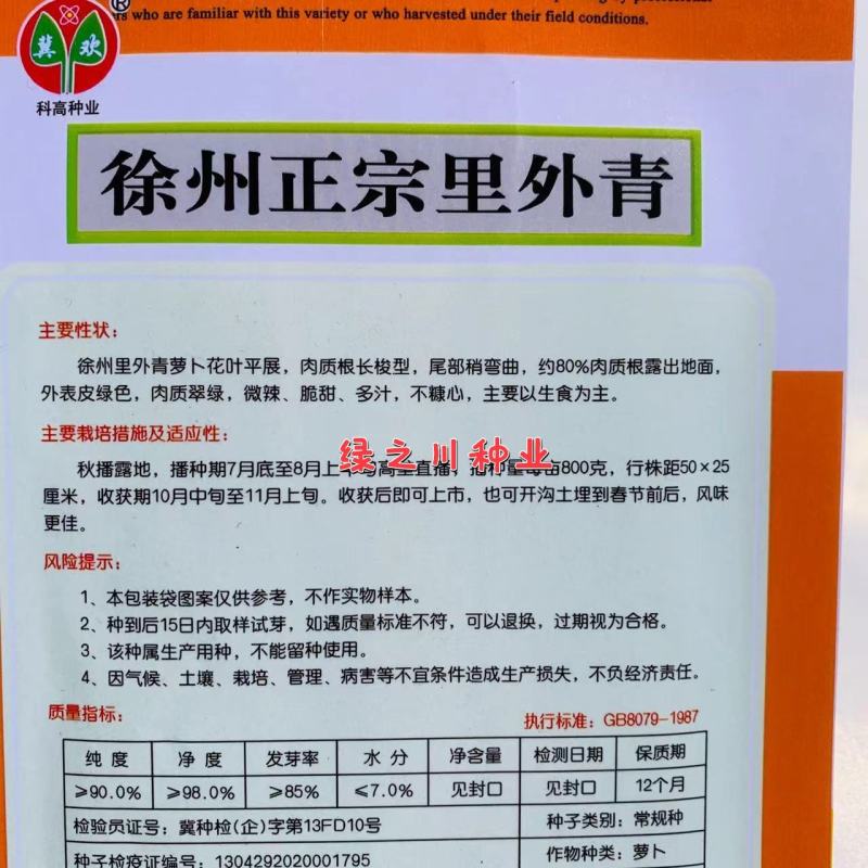 水果萝卜种子徐州正宗里外青萝卜种子微辣脆甜多汁秋播萝卜