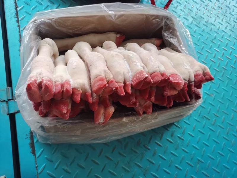 羊蹄