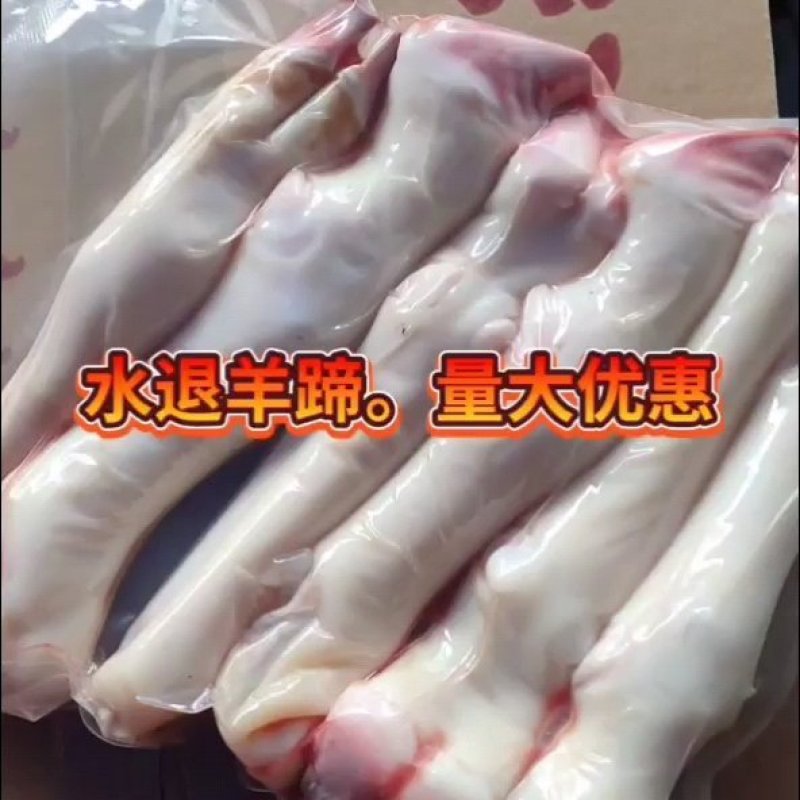 羊蹄