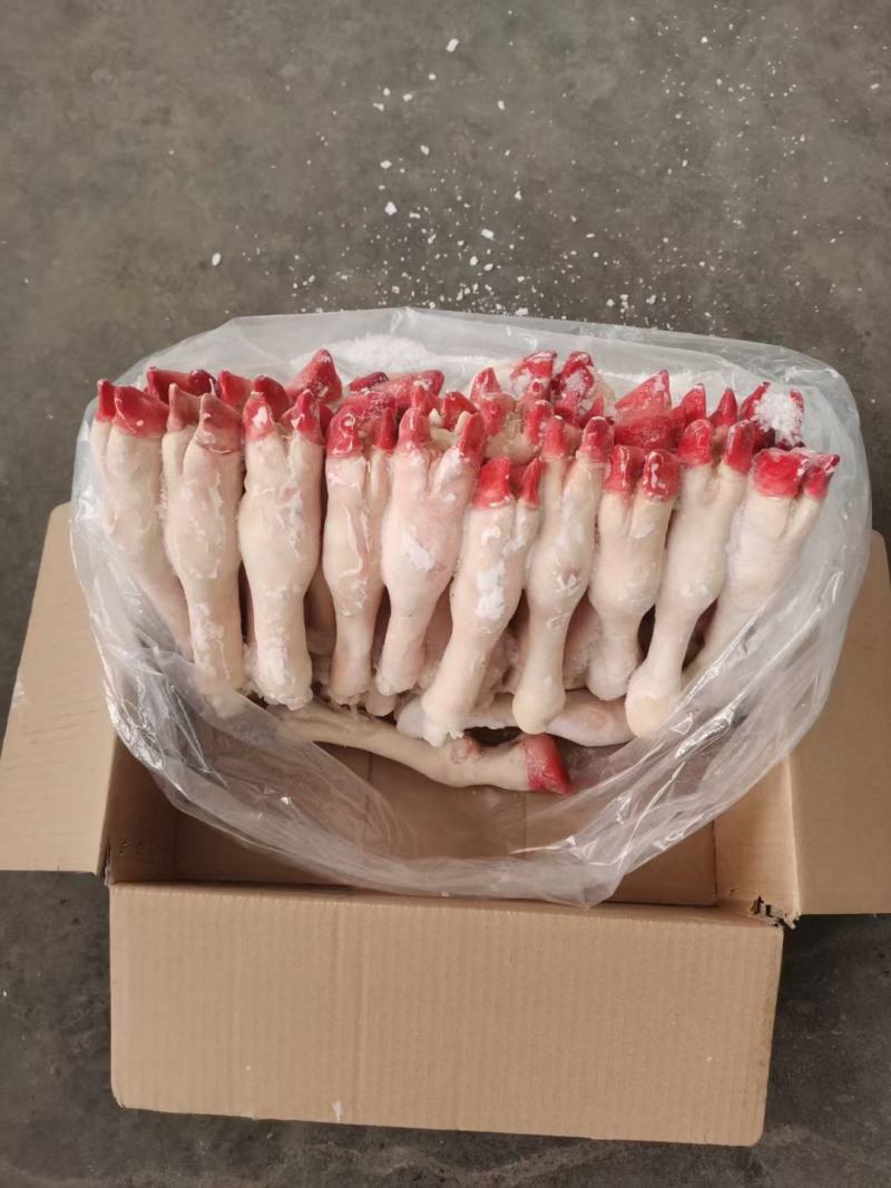 羊蹄