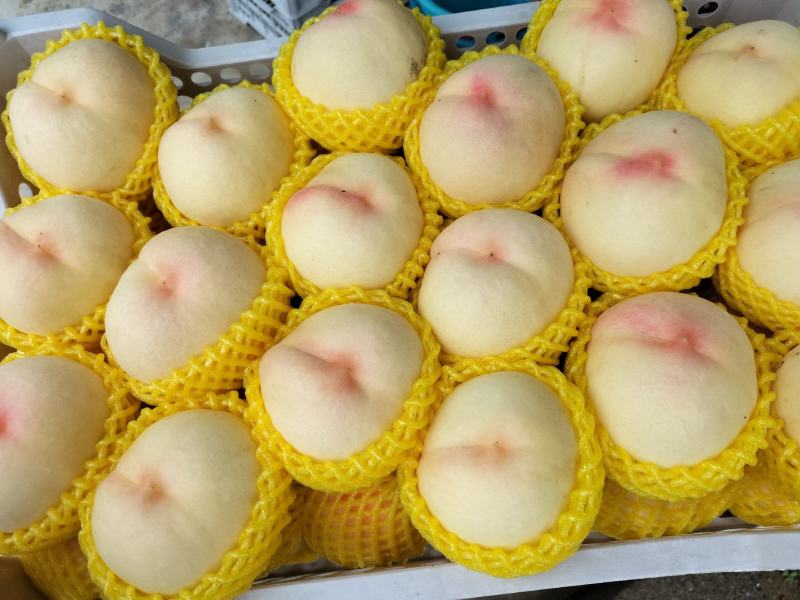 北京九号，中华一号，黄毛，油蟠桃，毛蟠桃，白桃，等