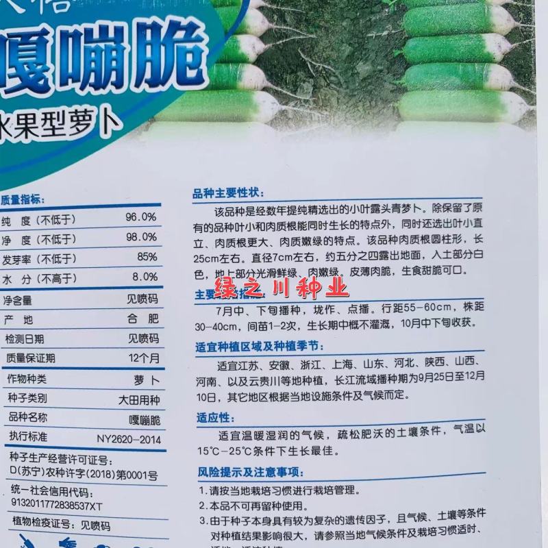 天禧嘎嘣脆水果型萝卜种子皮薄肉脆小叶露头青萝卜种子甜脆