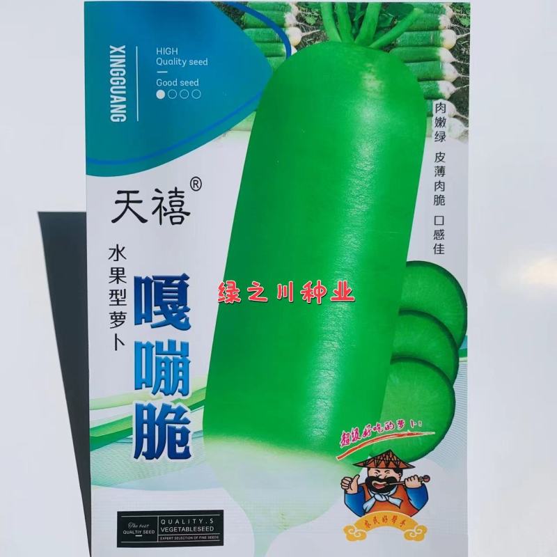 天禧嘎嘣脆水果型萝卜种子皮薄肉脆小叶露头青萝卜种子甜脆
