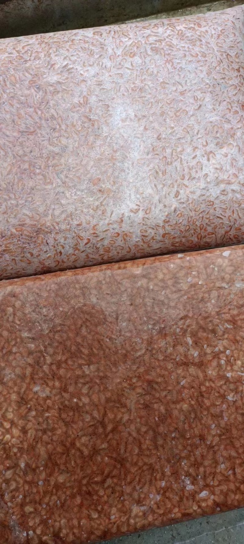 速冻熟小红头虾