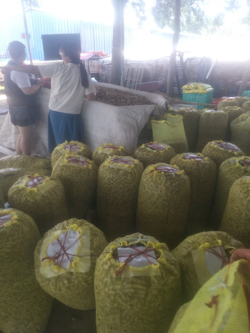 鲜花生