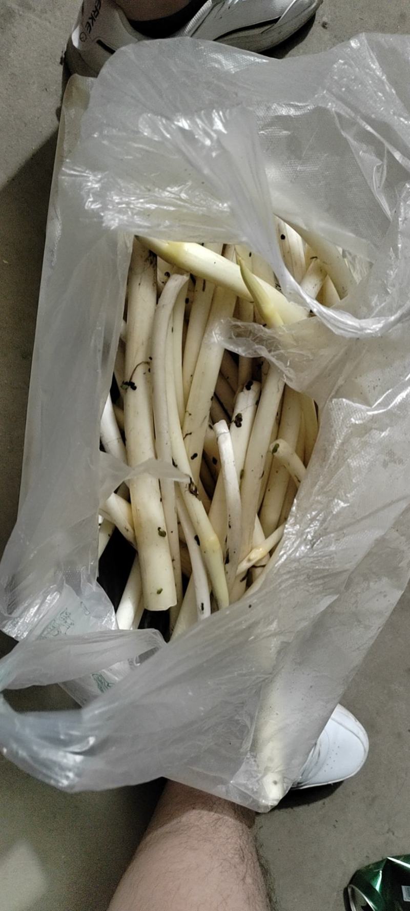 莲藕