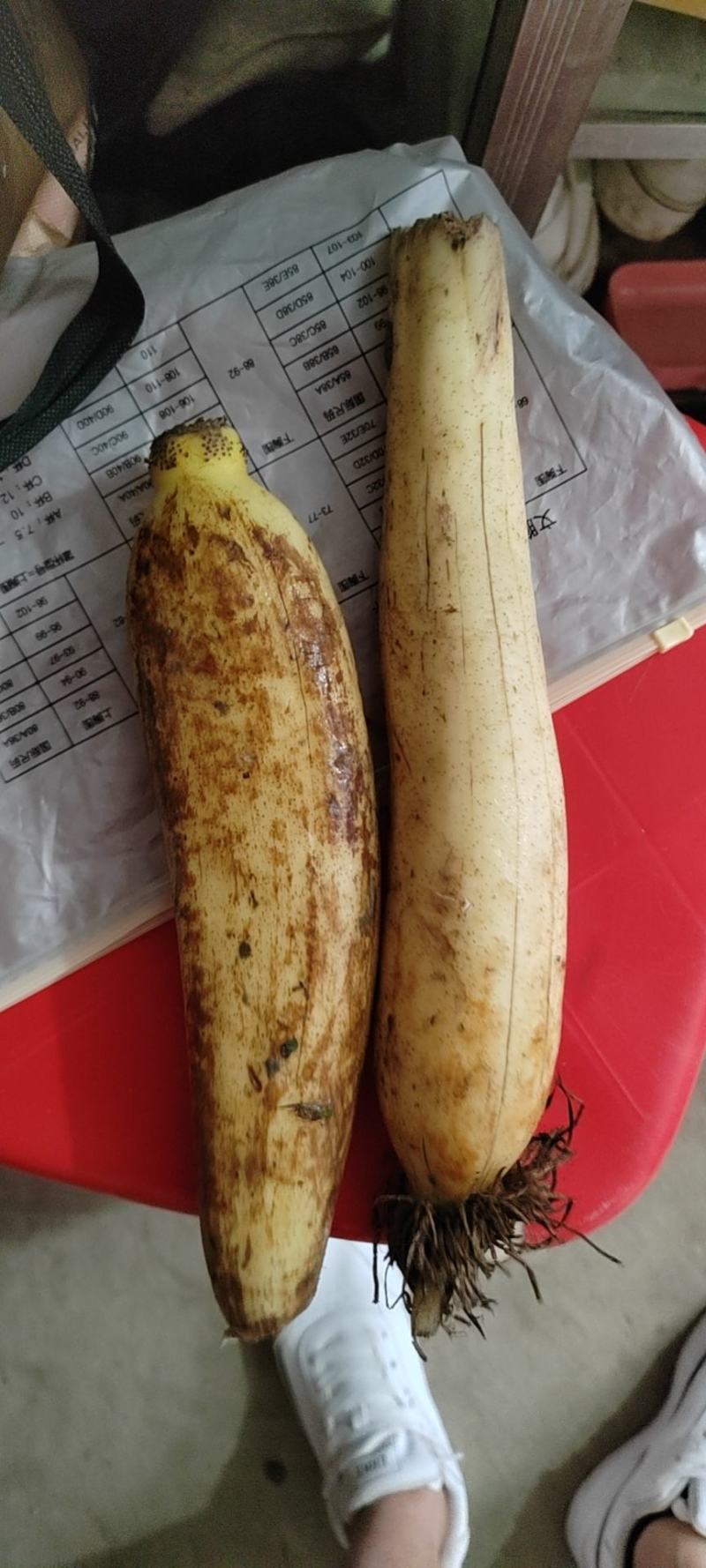 莲藕