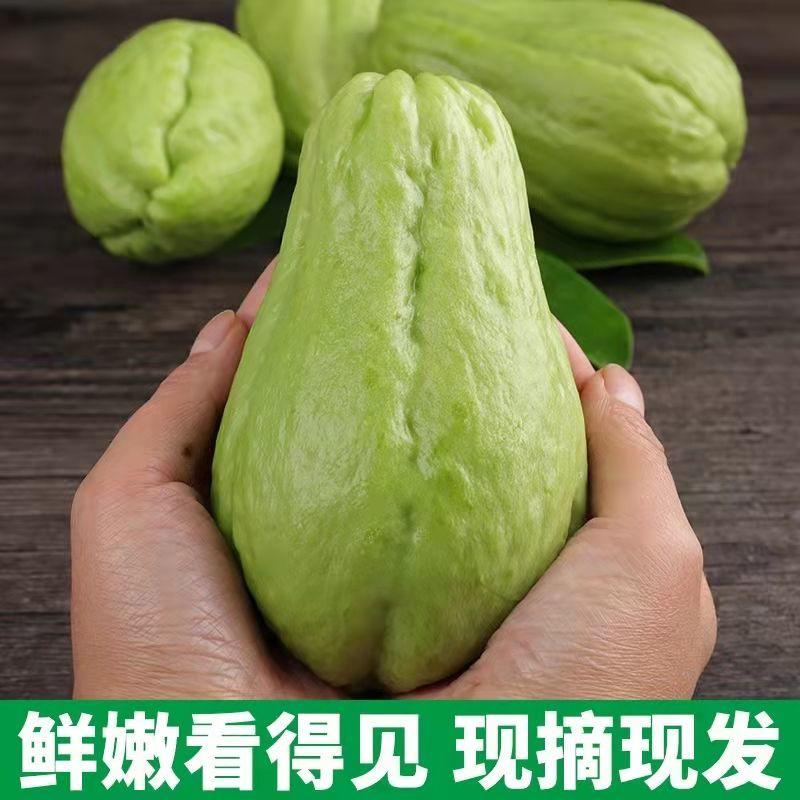 佛手瓜新鲜现摘蔬菜5-9斤洋丝瓜倭瓜农家自种窝瓜寿捧瓜