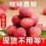 【现货下单秒发货】正宗从化桂味荔枝新鲜现货现摘现发冷链包