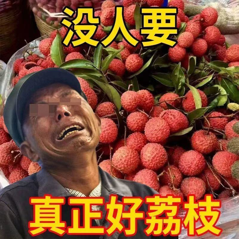 【现货下单秒发货】正宗从化桂味荔枝新鲜现货现摘现发冷链包