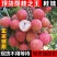 【现货下单秒发货】正宗从化桂味荔枝新鲜现货现摘现发冷链包
