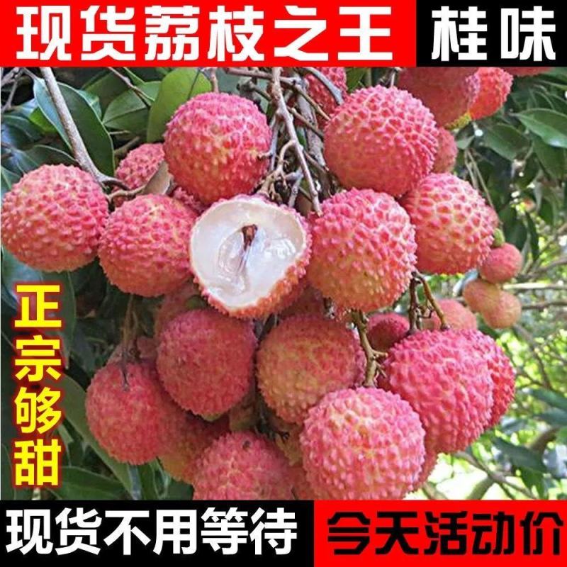【现货下单秒发货】正宗从化桂味荔枝新鲜现货现摘现发冷链包
