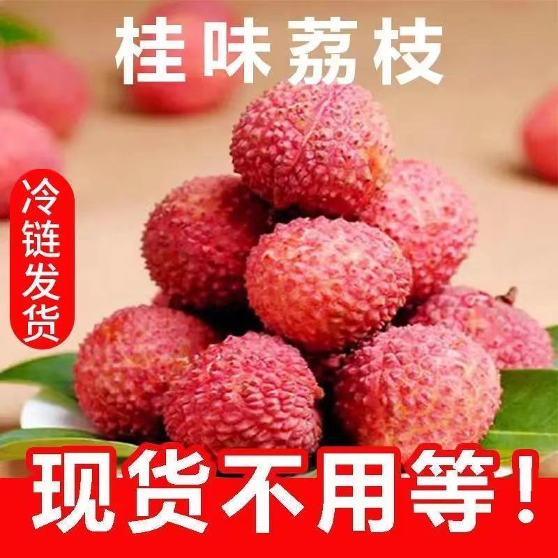 【现货下单秒发货】正宗从化桂味荔枝新鲜现货现摘现发冷链包