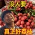 新鲜荔枝现摘白糖罂荔枝超甜黑叶当季荔枝孕妇水果整箱批发包