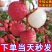 新鲜荔枝现摘白糖罂荔枝超甜黑叶当季荔枝孕妇水果整箱批发包