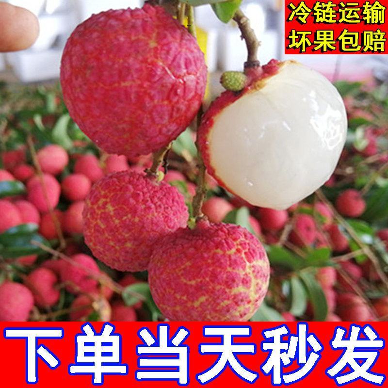 新鲜荔枝现摘白糖罂荔枝超甜黑叶当季荔枝孕妇水果整箱批发包