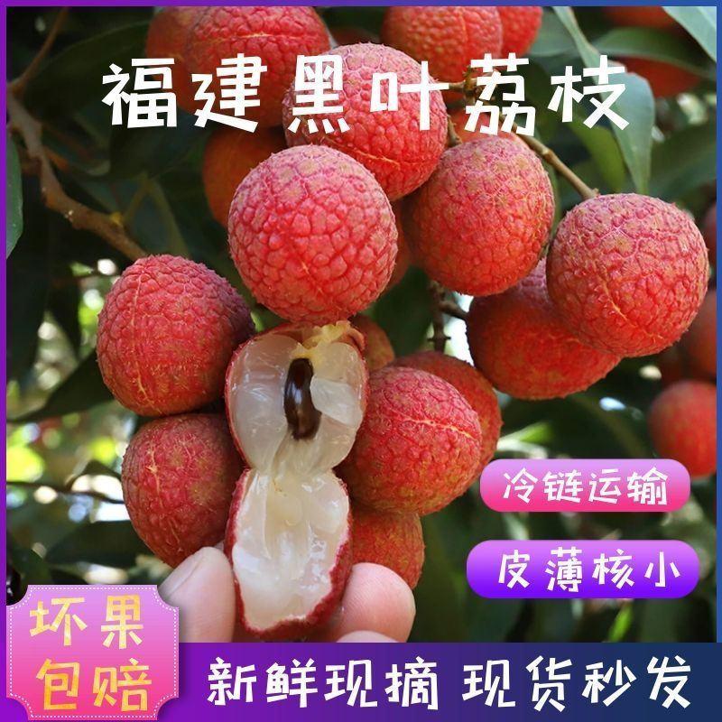 【现货】福建黑叶荔枝新鲜水果现摘现发应季孕妇水果鲜荔枝爆